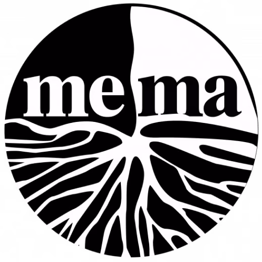 Screenshot of the MeMa project